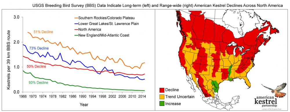 kestrel population trend chart and map