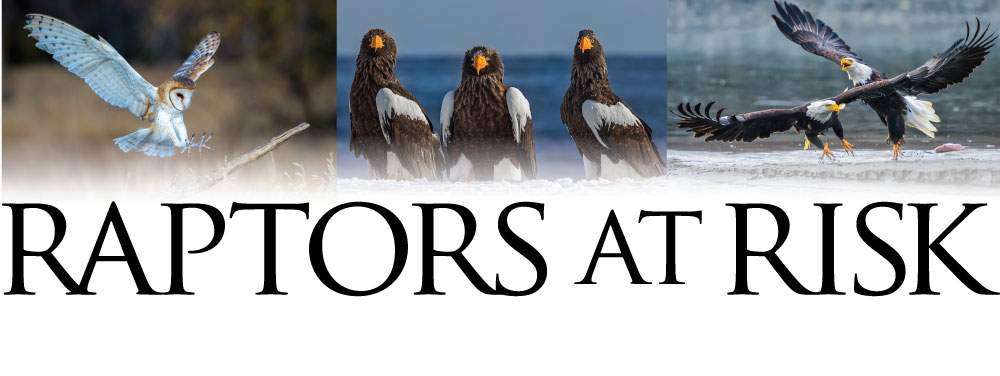 raptors-at-risk-2018-header-2018-04-13_1
