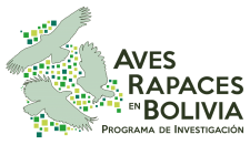 Aves Rapaces en Bolivia