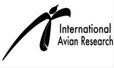 International Avian Research