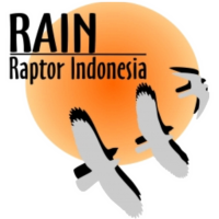 Raptor Indonesia