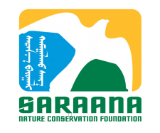 saraana
