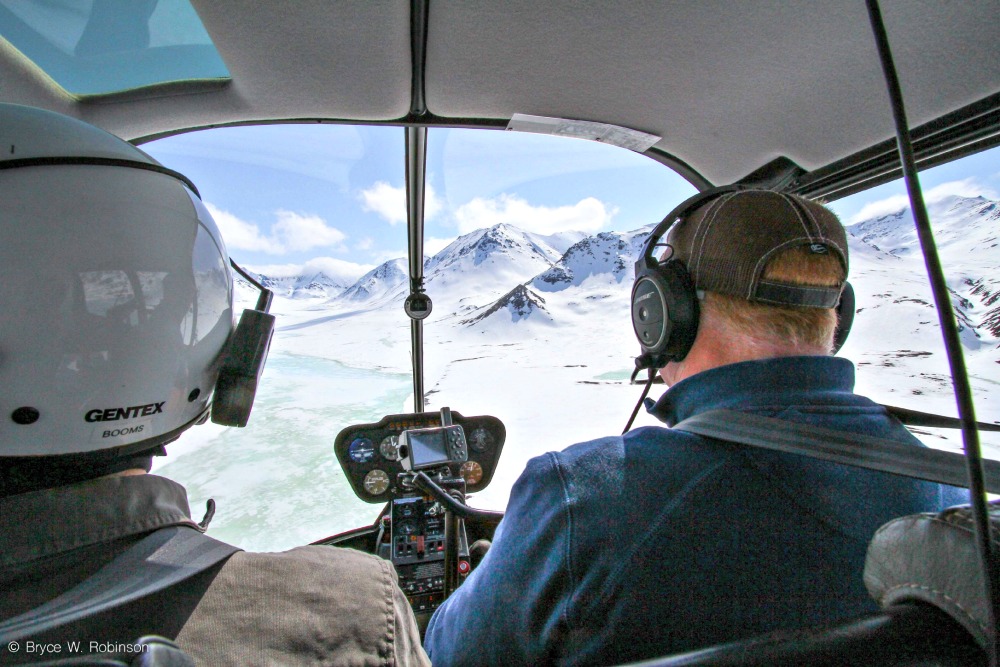 Gyrfalcon surveys, Alaska, The Peregrine Fund